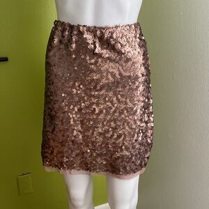 LC Lauren Conrad Sequin Metallic Skirt Size M